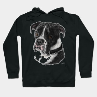 Boxer with a Silver Chain Hoodie